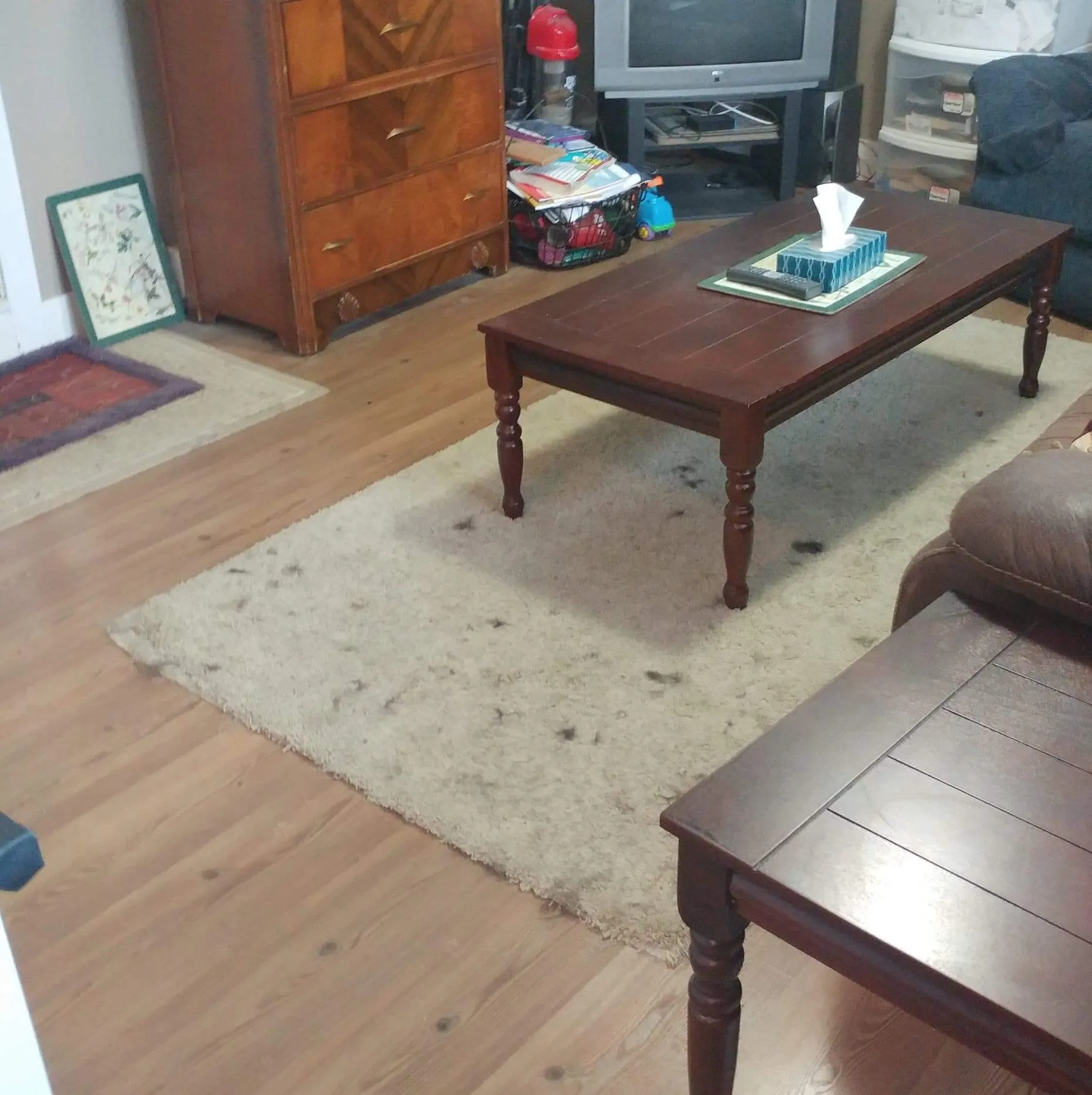 Cleanlifebc dog hair before
