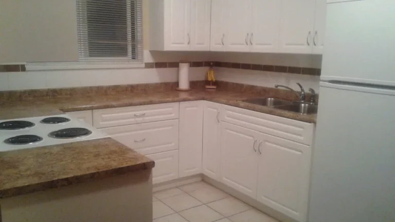 Cleanlifebc kitchen clean