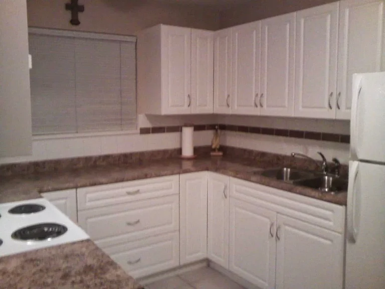 Cleanlifebc kitchen clean